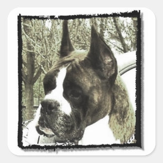 Boxer dog stickers