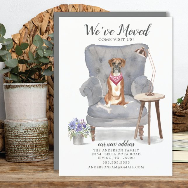 Boxer Dog We've Moved Moving Announcement (Creator Uploaded)