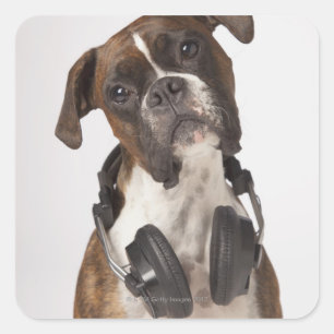 boxer dog with headphones square sticker