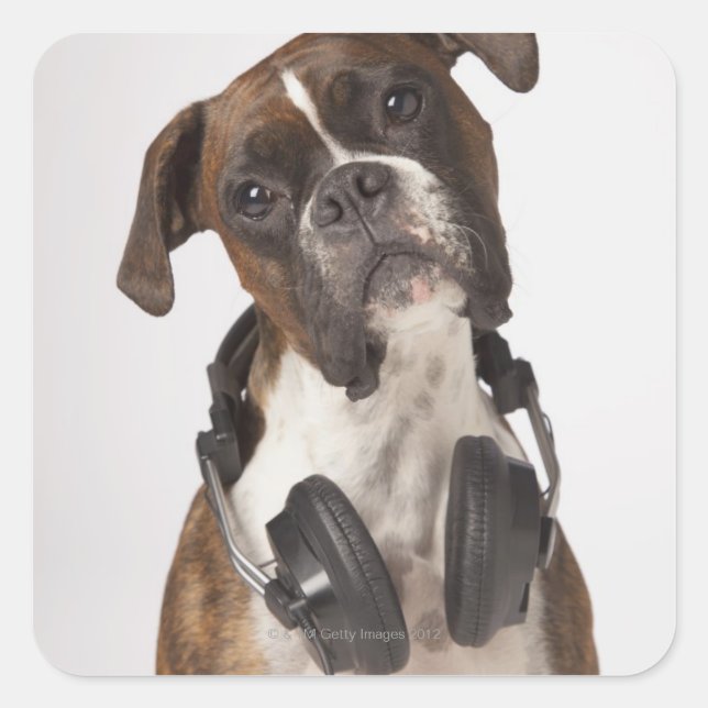 boxer dog with headphones square sticker (Front)