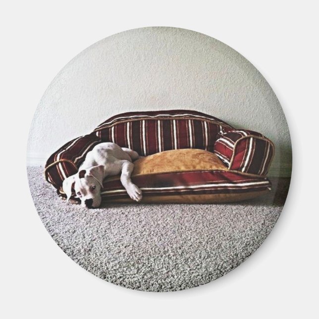 Boxer Doggie Magnet (Devant)