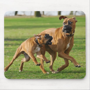 Boxer dogs run a funny race mouse pad