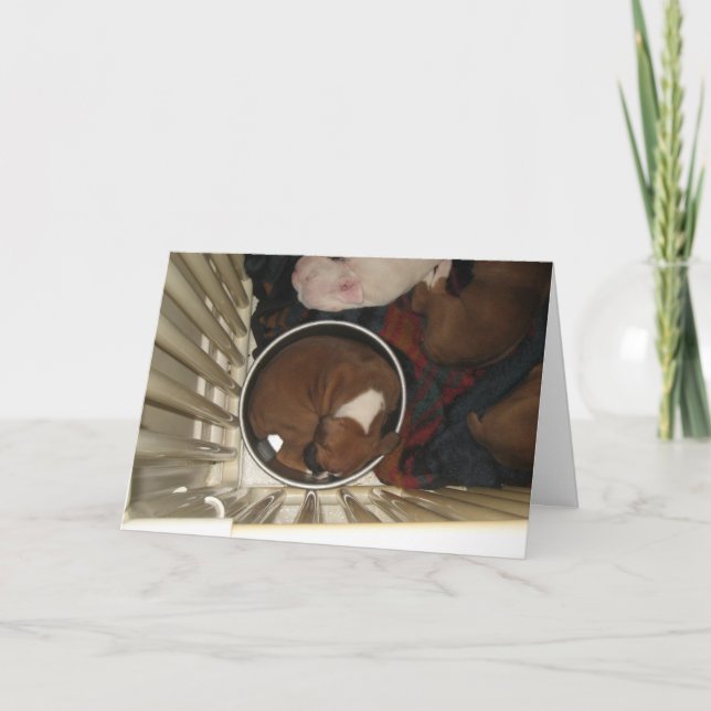 Boxer dormir dans la nourriture Bowl Carte d'anniv (Devant)