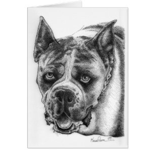 Boxer Drawing