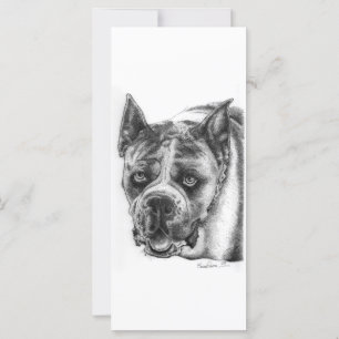 Boxer Drawing