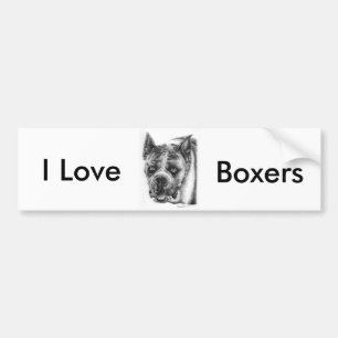 Boxer Drawing Bumper Sticker