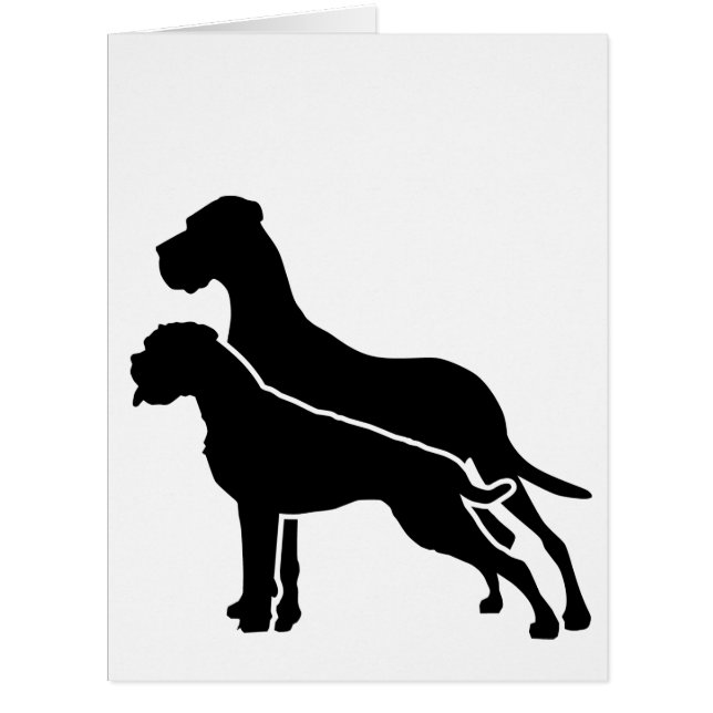 Boxer et Great Dane (Devant)