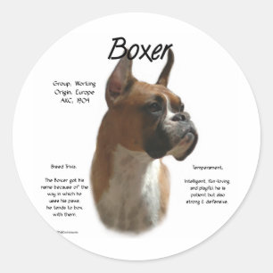 Boxer (fawn) History Design Classic Round Sticker