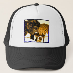 Boxer friends hat