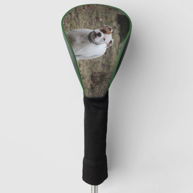 Boxer Golf Head Cover (Front)