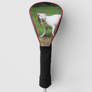 Boxer Golf Head Cover