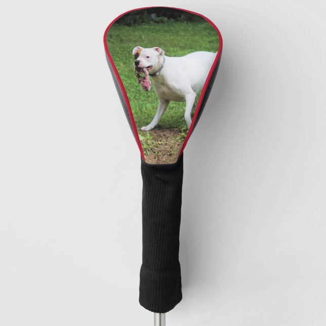 Boxer Golf Head Cover (Front)
