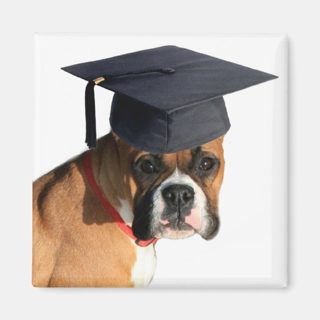 Boxer graduate magnet (Front)
