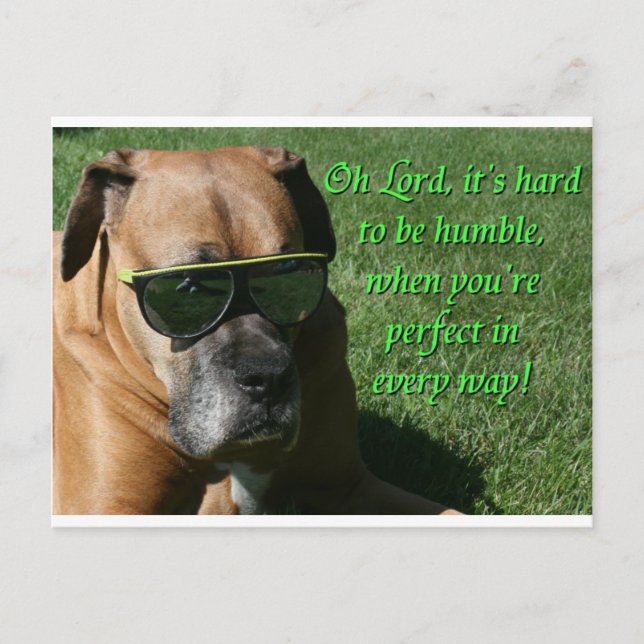 Boxer:  Hard to be Humble Postcard (Front)