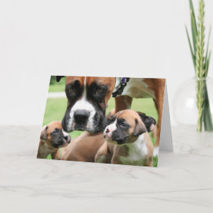 Boxer - Helicopter Mom Card