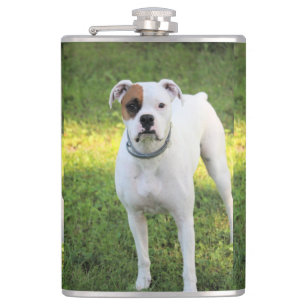 Boxer hip flask