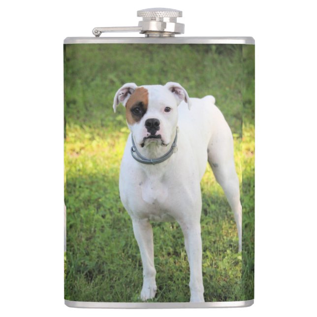 Boxer   hip flask (Front)