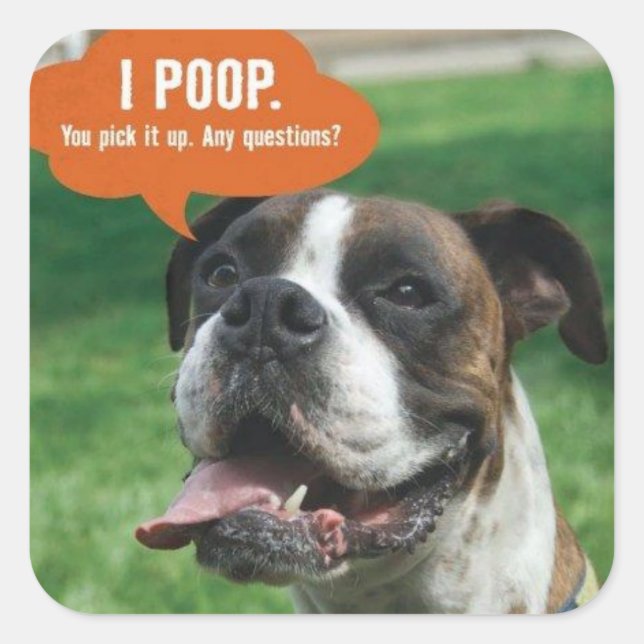 Boxer - I poop Square Sticker (Front)