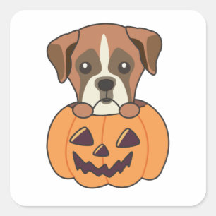 Boxer In Pumpkin Cute Dogs Happy Halloween Square Sticker