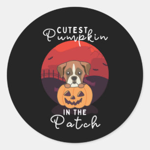 Boxer In Pumpkin Dogs Cutest Pumpkin In The Patch Classic Round Sticker