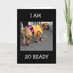 BOXER IS SO READY TO HELP CELEBRATE YOUR BIRTHDAY CARD