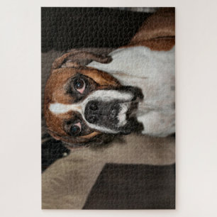 Boxer Jigsaw Puzzle