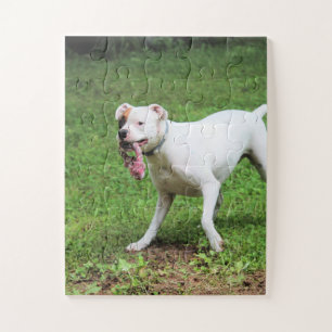 Boxer Jigsaw Puzzle
