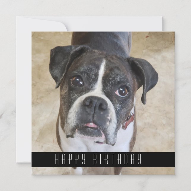 Boxer Joyeux Anniversaire De Chien Carte Anniversa (Devant)
