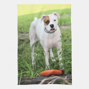 Boxer kitchen towel