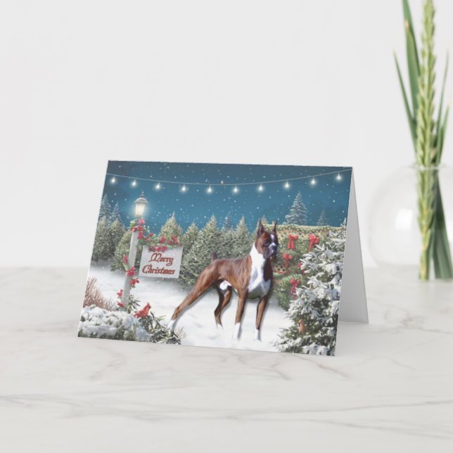Boxer Lane Christmas Greeting Card (Front)