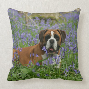 Boxer Laying in Bluebells Throw Pillow