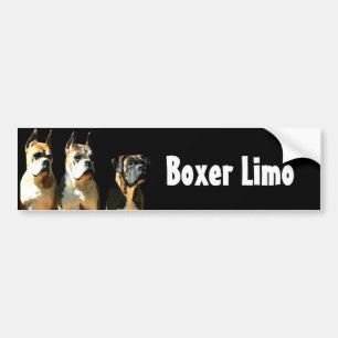Boxer limo bumper sticker
