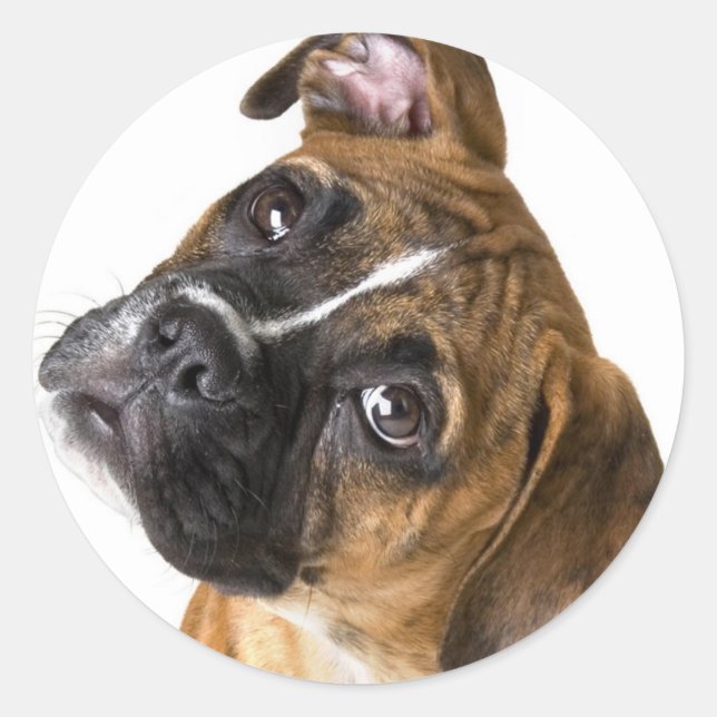 Boxer Love Classic Round Sticker (Front)