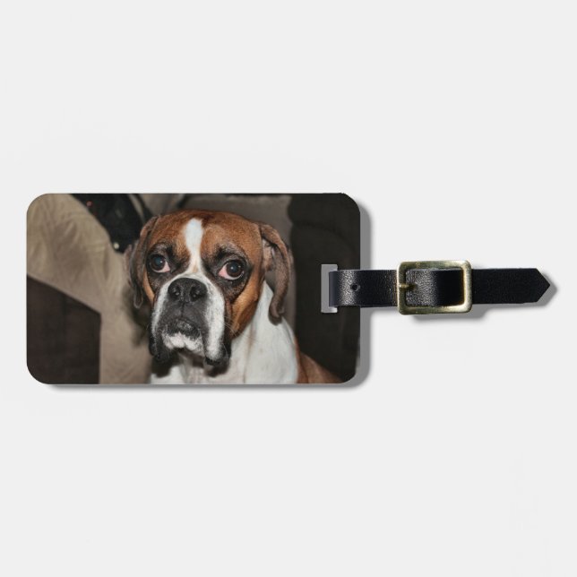 Boxer Luggage Tag (Front Horizontal)