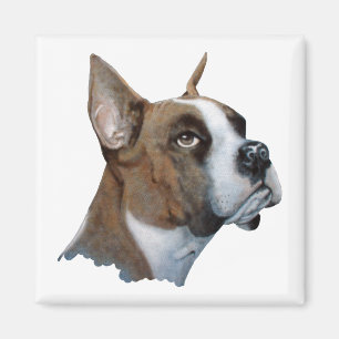 Boxer Magnet