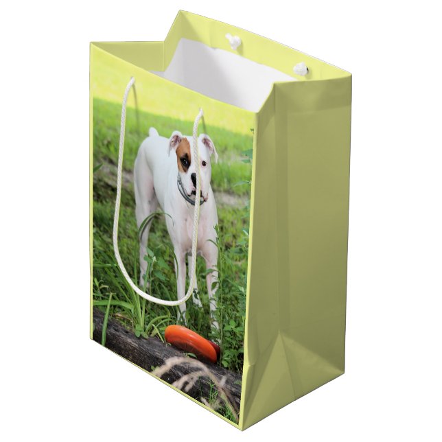 Boxer Medium Gift Bag (Front Angled)