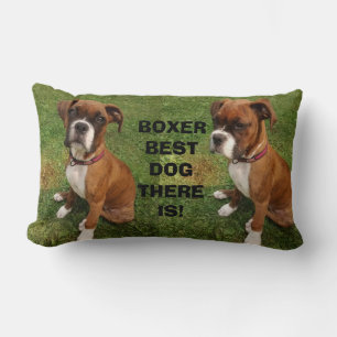BOXER MEILLEUR CHIEN QUI SOIT oreiller