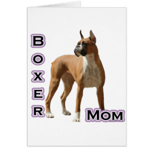 Boxer Mom 4