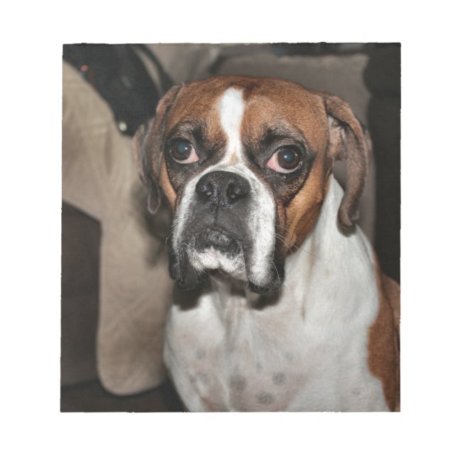 Boxer Notepad (Front)