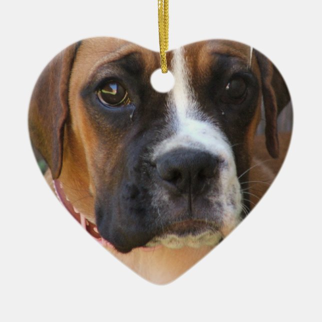 Boxer Ornament (Front)