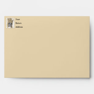 Boxer Painting - Cute Original Dog Art Envelope