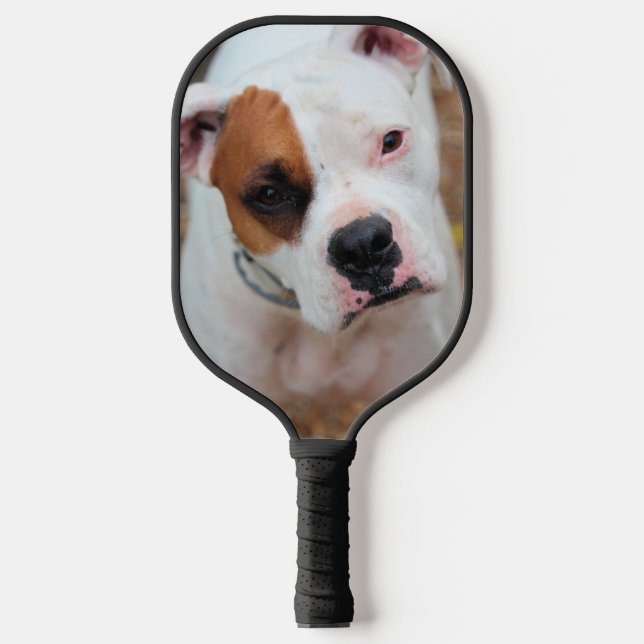 Boxer Pickleball Paddle (Front)
