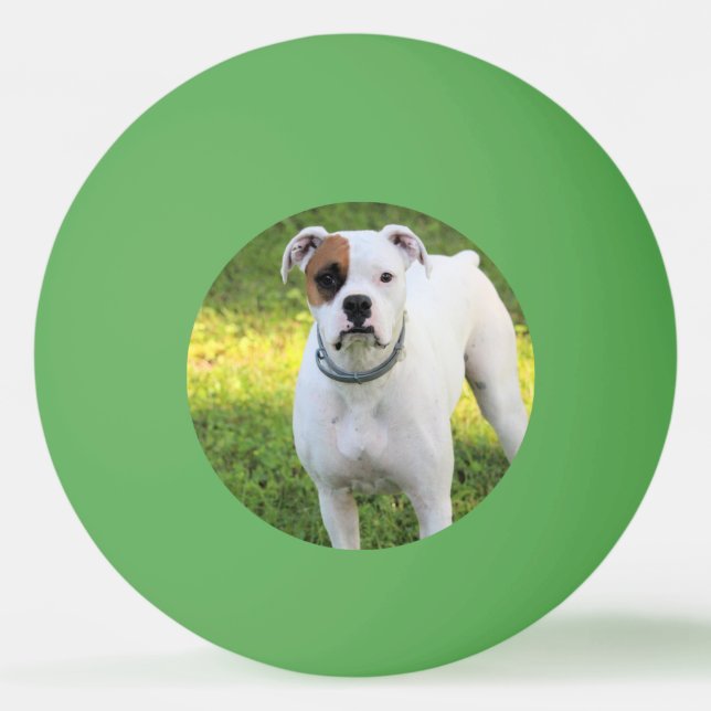 Boxer   ping pong ball (Front)