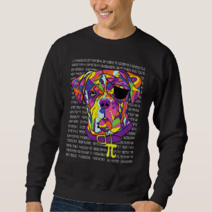 Boxer Pirate Costume Pi Day Math Teachers Sweatshirt