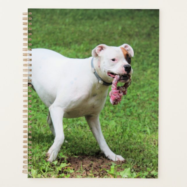 Boxer  planner (Front)