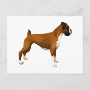 Boxer Postcard