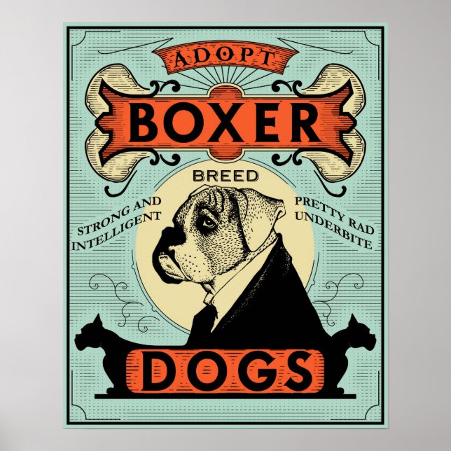 Boxer Poster 1 (Front)