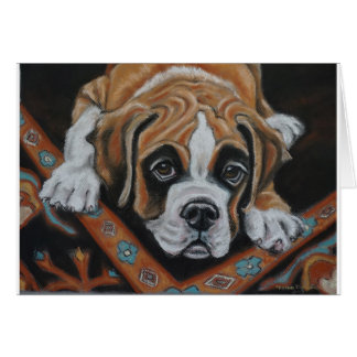 Boxer pup