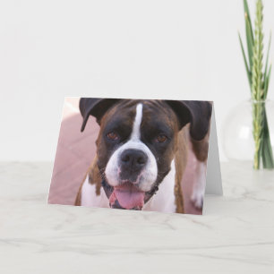 Boxer Pup Greeting Card