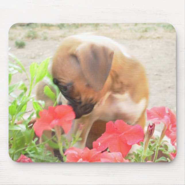 Boxer pup in Petunias mousepad (Front)